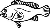 Fish Sticker 348