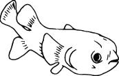 Fish Sticker 356