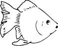Fish Sticker 379
