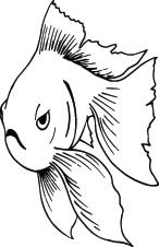 Fish Sticker 609