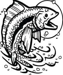 Fish Sticker 616