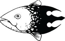 Fish Sticker 650