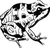 Frog Sticker 17