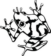 Frog Sticker 24