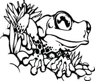 Frog Sticker 28