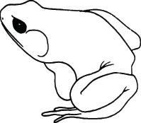 Frog Sticker 29