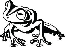 Frog Sticker 53
