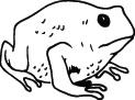 Frog Sticker 60