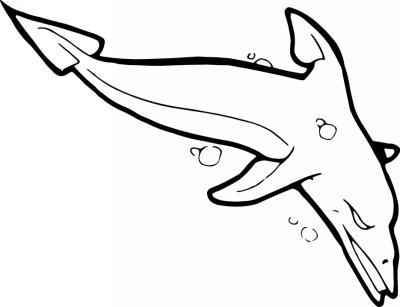 Dolphin Sticker 205
