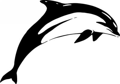 Dolphin Sticker 212