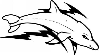 Dolphin Sticker 229