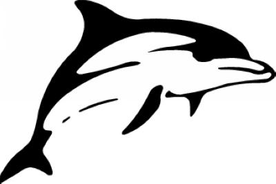 Dolphin Sticker 239