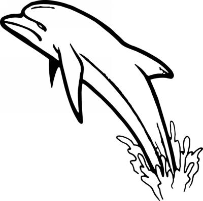 Dolphin Sticker 243