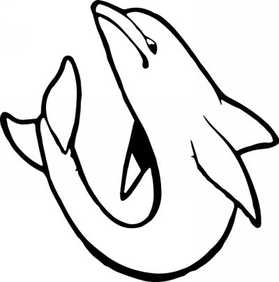 Dolphin Sticker 264