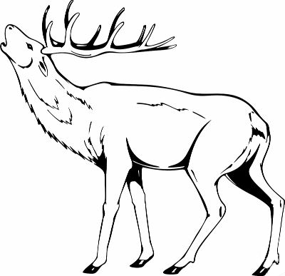 Elk 3 Sticker