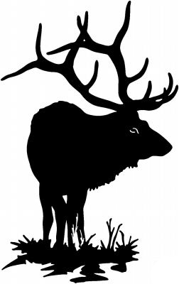 Elk 4 Sticker