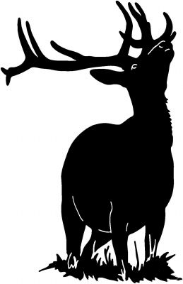 Elk 5 Sticker