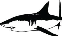 Shark Sticker 82