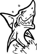Shark Sticker 102