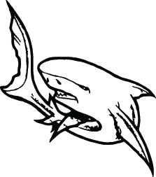 Shark Sticker 104