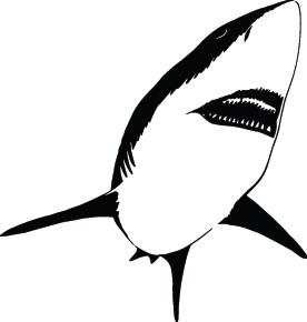 Shark Sticker 106