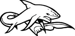 Shark Sticker 108