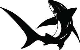 Shark Sticker 121