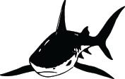 Shark Sticker 144
