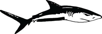 Shark Sticker 150