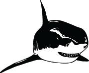 Shark Sticker 155