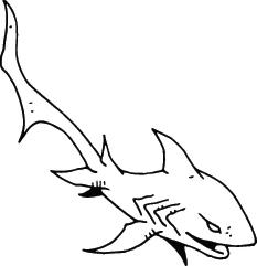 Shark Sticker 173