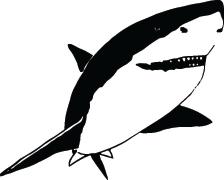 Shark Sticker 273