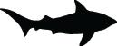 Shark Sticker 303