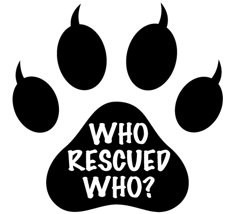Who Rescued Who Cat Sticker