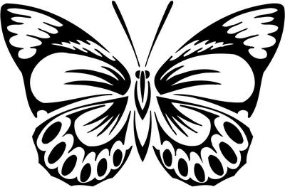 Tribal Butterfly Sticker 27