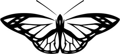 Tribal Butterfly Sticker 46