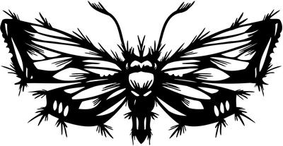 Tribal Butterfly Sticker 239