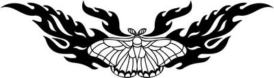 Tribal Butterfly Sticker 257