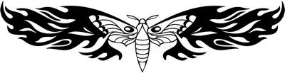 Tribal Butterfly Sticker 300