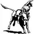 Bull Riding Stickers