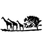 Giraffes Sticker