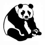 Panda Bear Sticker