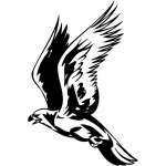 Predatory Bird Sticker 55