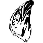 Predatory Bird Sticker 65