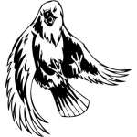 Predatory Bird Sticker 71