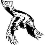 Predatory Bird Sticker 98