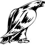 Predatory Bird Sticker 3