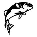 Jumping Trout Sticker