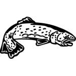 Salmon Sticker