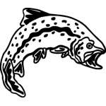 Salmon Sticker 2